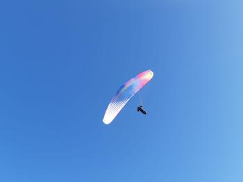 IMG-20221113-WA0015.jpg