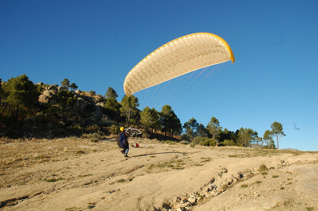 3pedrobernardo17_11_2008.jpg