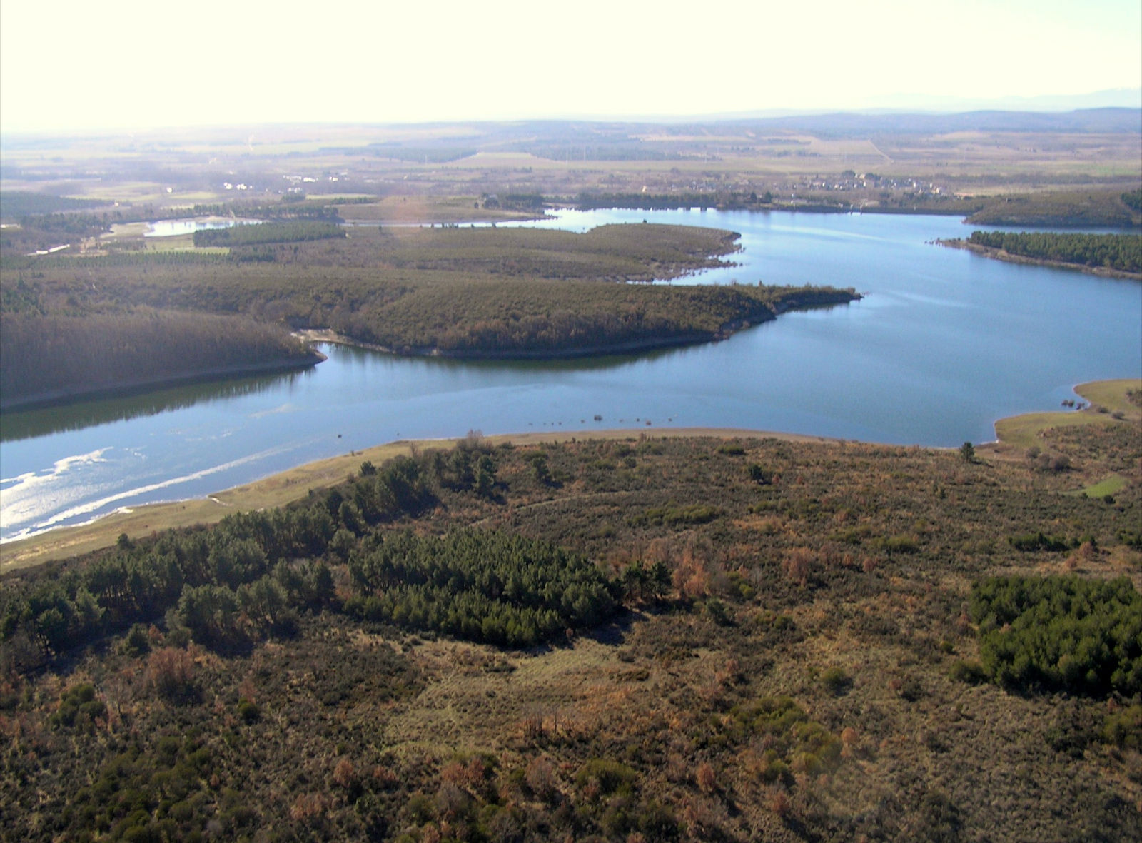 P1245890.JPG