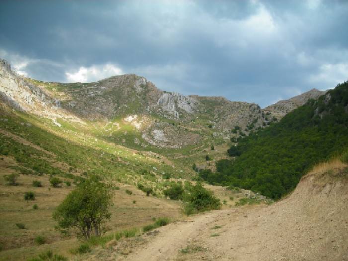 DSCN1166.JPG