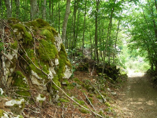 DSCN1168.JPG