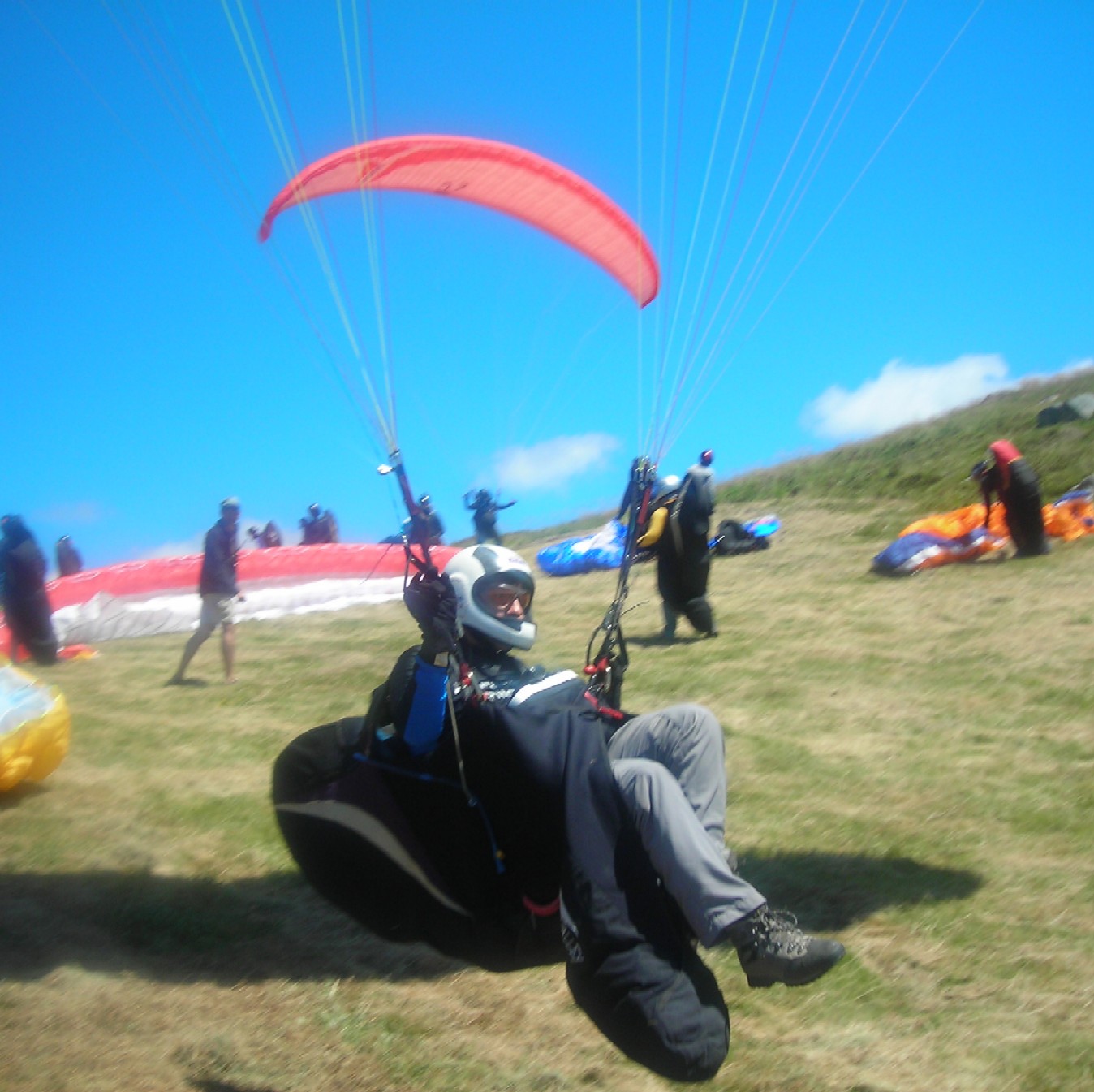 wings15.jpg