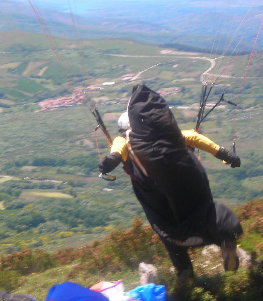 wings18.jpg