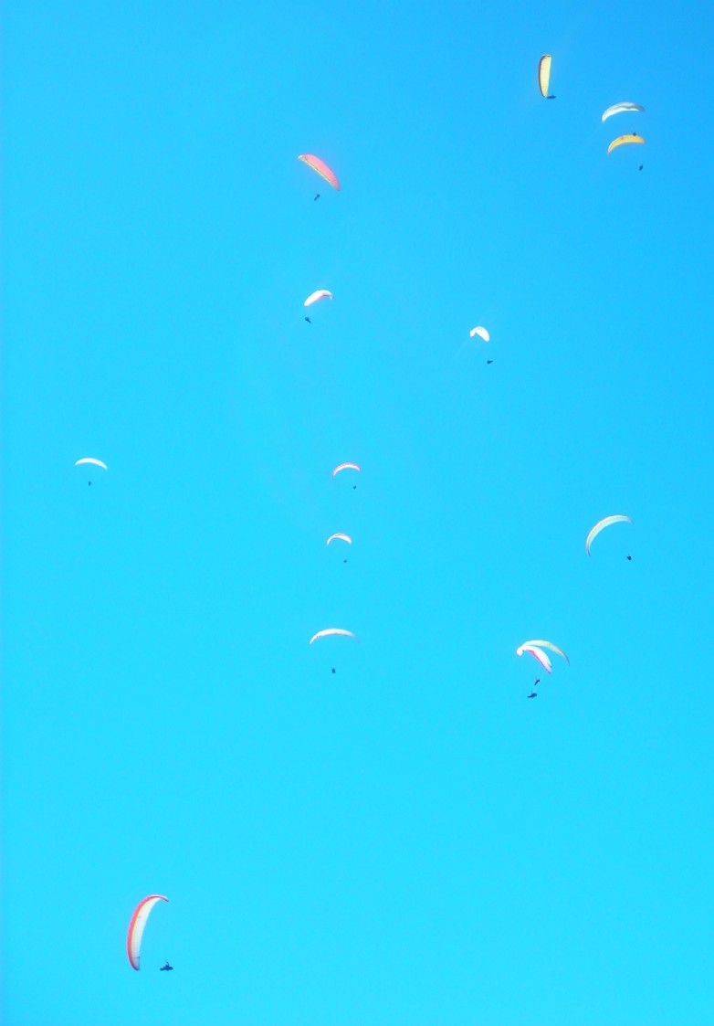 wings24.jpg