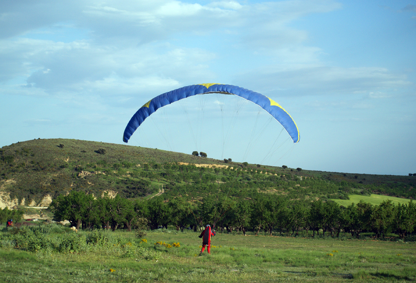 P5120006.jpg