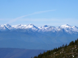 DSC01487.JPG